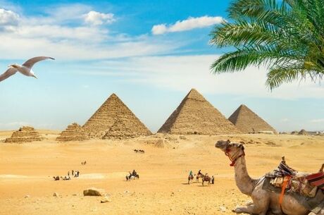 Mısır Piramitleri Kahire Sharm El Sheikh Turu