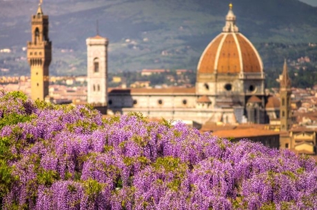 Napoli Roma Pisa Floransa Portofino Milano Venedik Turu (Motto) THY ile