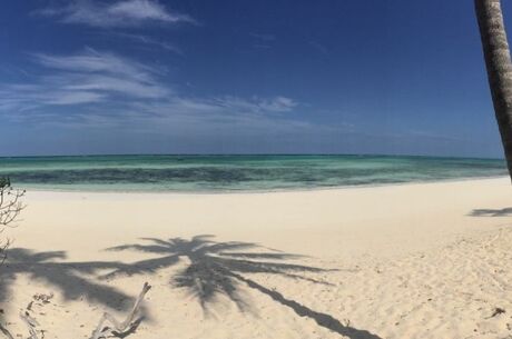 Zanzibar Turu QatarHavayolları İle Her Cuma Hareket 7 Gece 9 Gün