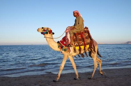 Sharm El Sheikh Turu Ajet Havayolları ile 4 Gece Her Şey Dahil Oteller