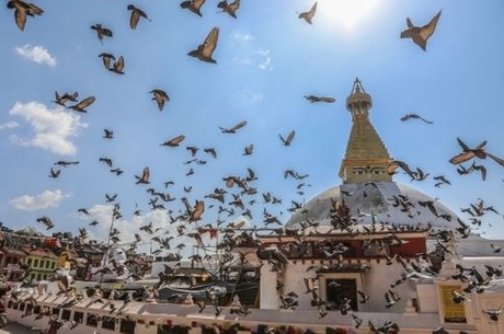 Katmandu - Nepal Turu Jazeera Havayolları İle 5 Gece 7 Gün