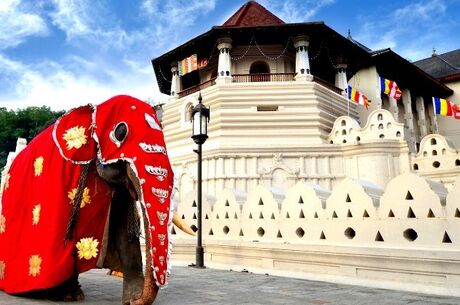 Sri Lanka Turu Salam Air Havayolları İle 6 Gece 8 Gün